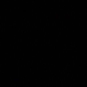 Meet your Posher, Wil